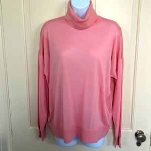 Ann Taylor 100% Superfine Merino Wool Sweater, Pink Size XL
